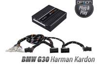 BMW 5er (G30) | RAM | Harman/Kardon | DSP-Soundsystem Upgrade mit Match UP10DSP