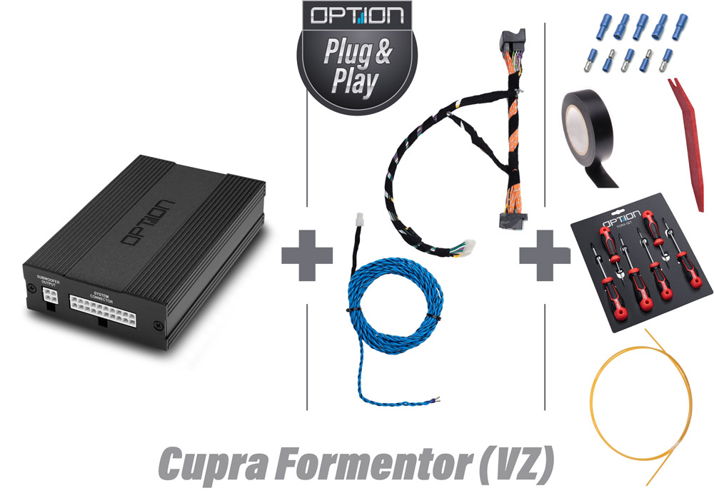 Cupra Formentor VZ DSP-Soundsystem V1 | Plug & Play | OPTION